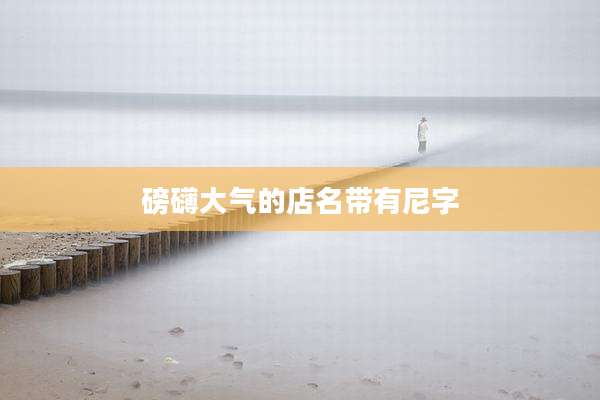 磅礴大气的店名带有尼字