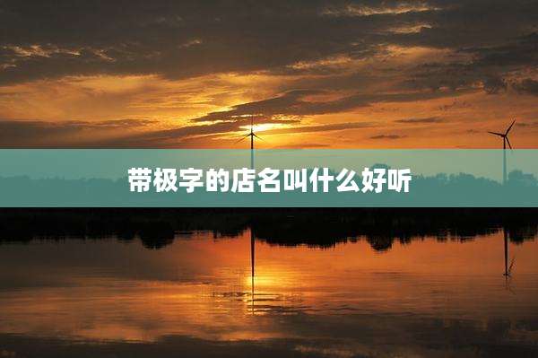 带极字的店名叫什么好听