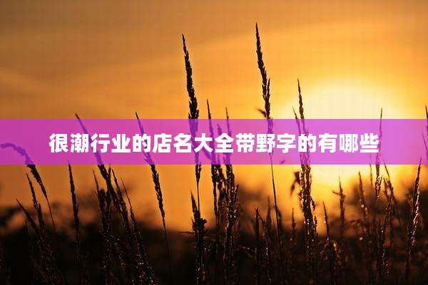 很潮行业的店名大全带野字的有哪些
