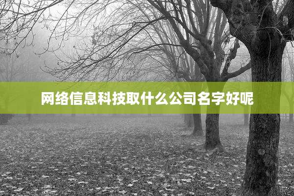网络信息科技取什么公司名字好呢