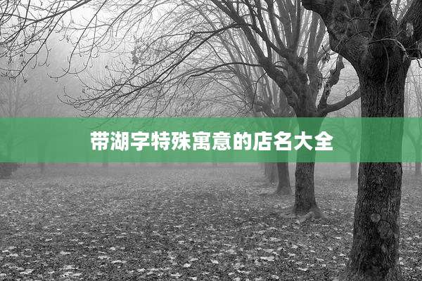 带湖字特殊寓意的店名大全