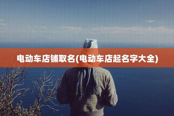 电动车店铺取名(电动车店起名字大全)