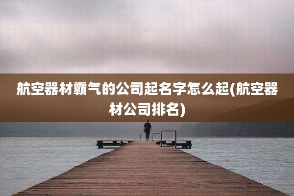 航空器材霸气的公司起名字怎么起(航空器材公司排名)