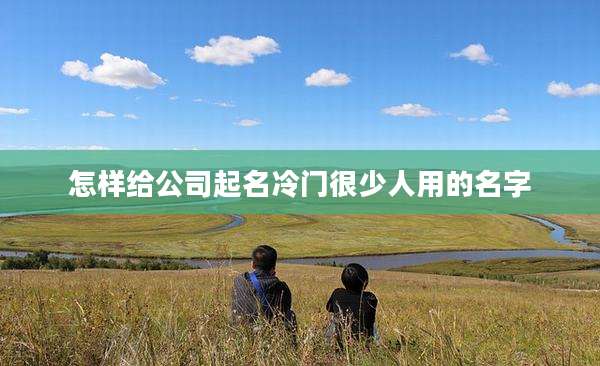 怎样给公司起名冷门很少人用的名字