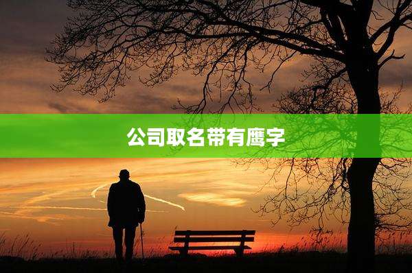 公司取名带有鹰字