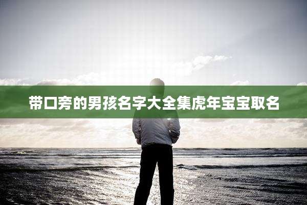 带口旁的男孩名字大全集虎年宝宝取名