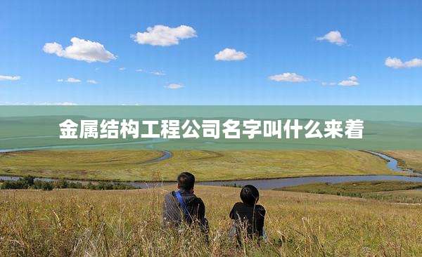 金属结构工程公司名字叫什么来着