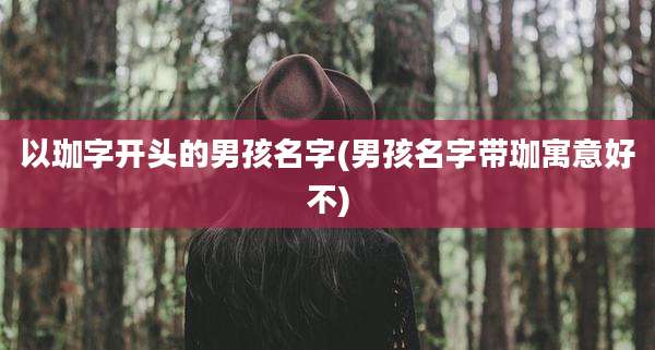 以珈字开头的男孩名字(男孩名字带珈寓意好不)