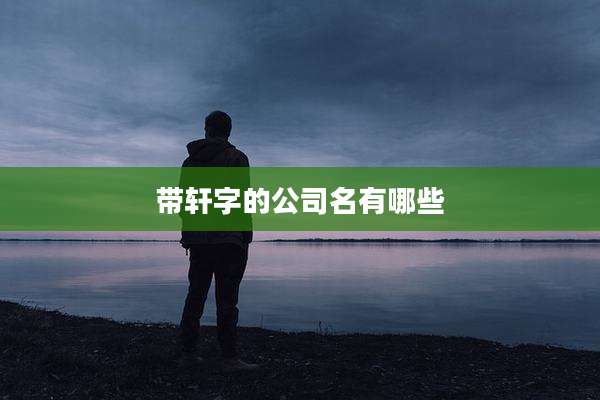 带轩字的公司名有哪些