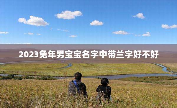 2023兔年男宝宝名字中带兰字好不好