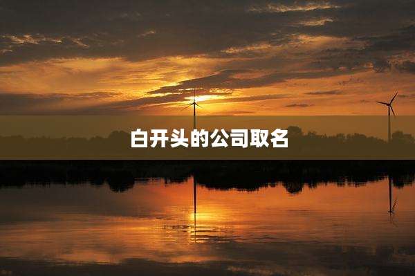 白开头的公司取名