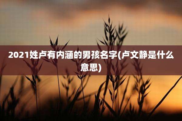 2021姓卢有内涵的男孩名字(卢文静是什么意思)