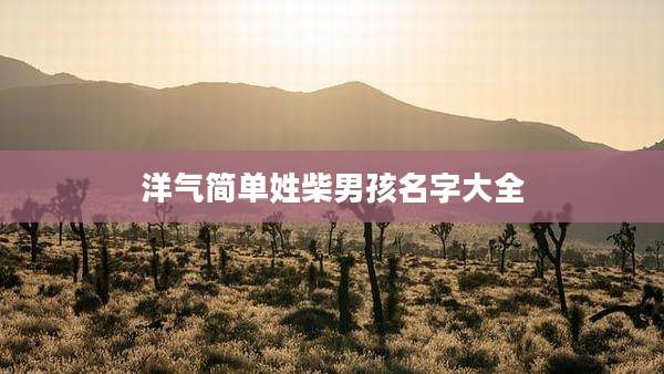 洋气简单姓柴男孩名字大全
