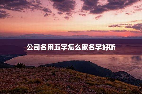 公司名用五字怎么取名字好听