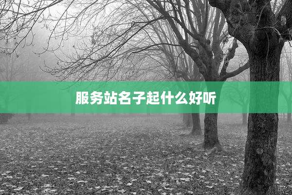 服务站名子起什么好听