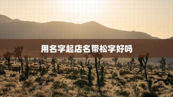 用名字起店名带松字好吗