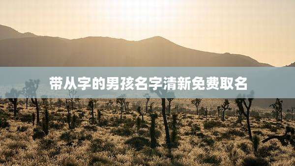 带从字的男孩名字清新免费取名