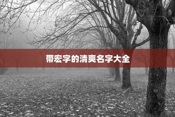 带宏字的清爽名字大全