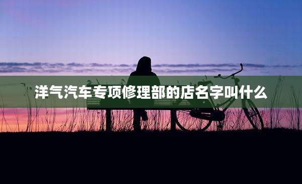 洋气汽车专项修理部的店名字叫什么