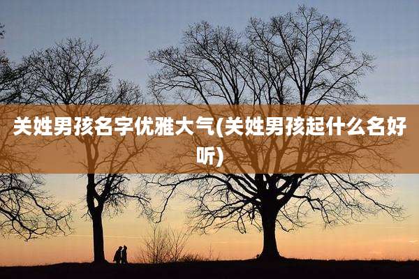 关姓男孩名字优雅大气(关姓男孩起什么名好听)