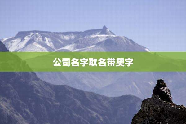 公司名字取名带奥字