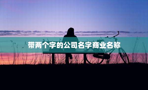 带两个字的公司名字商业名称