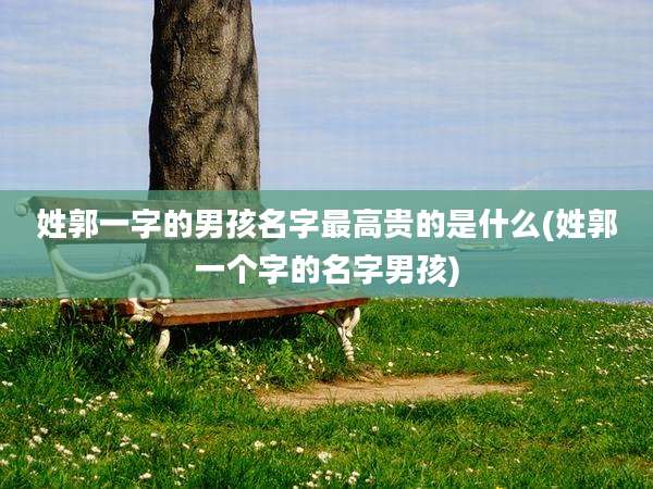 姓郭一字的男孩名字最高贵的是什么(姓郭一个字的名字男孩)