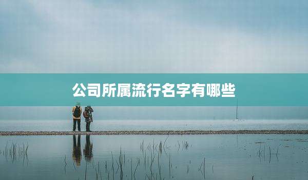 公司所属流行名字有哪些