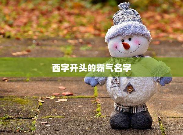 西字开头的霸气名字