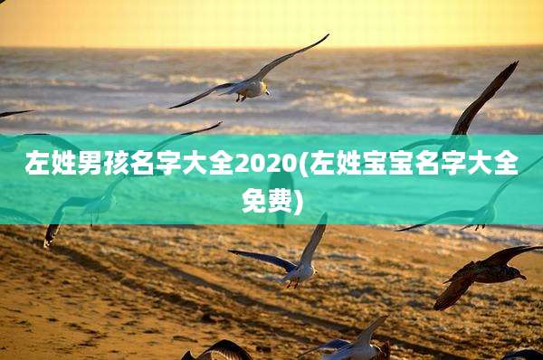左姓男孩名字大全2020(左姓宝宝名字大全免费)