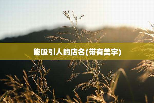 能吸引人的店名(带有美字)