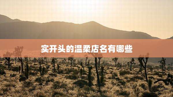 实开头的温柔店名有哪些