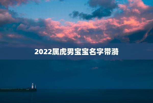 2022属虎男宝宝名字带漪