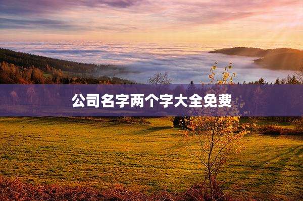 公司名字两个字大全免费
