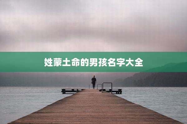 姓蒙土命的男孩名字大全