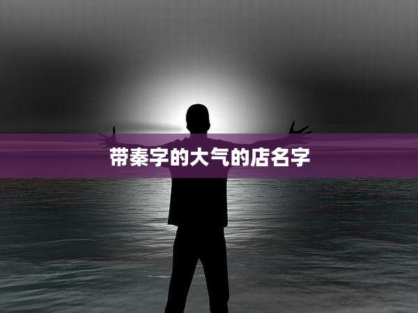 带秦字的大气的店名字
