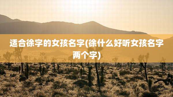 适合徐字的女孩名字(徐什么好听女孩名字两个字)