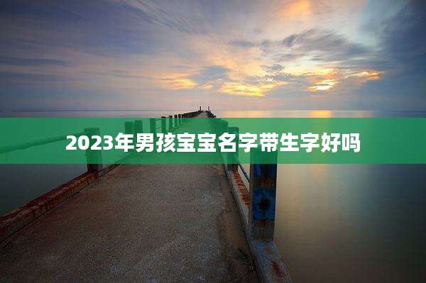 2023年男孩宝宝名字带生字好吗