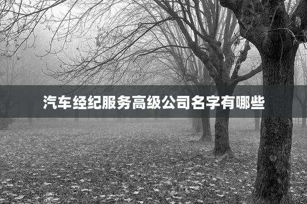 汽车经纪服务高级公司名字有哪些
