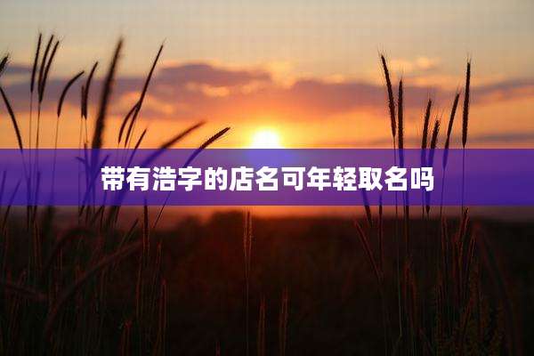 带有浩字的店名可年轻取名吗