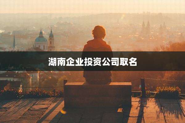 湖南企业投资公司取名