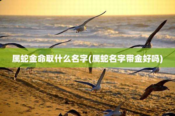属蛇金命取什么名字(属蛇名字带金好吗)