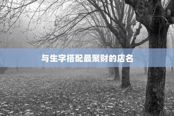 与生字搭配最聚财的店名