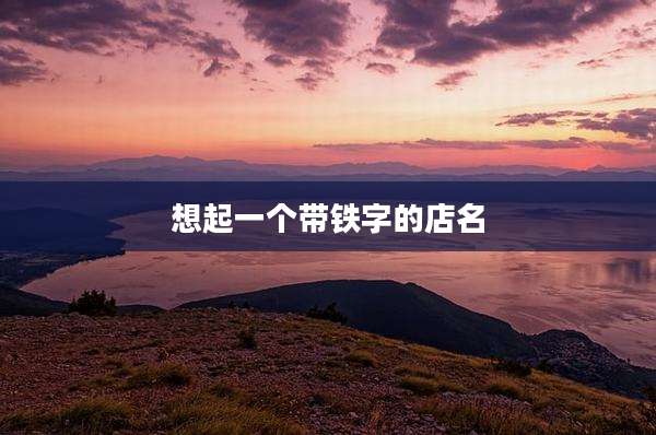 想起一个带铁字的店名