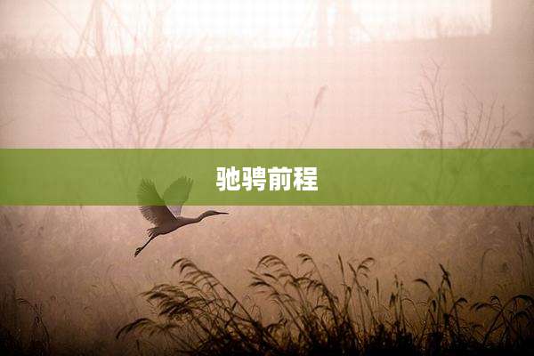 驰骋前程