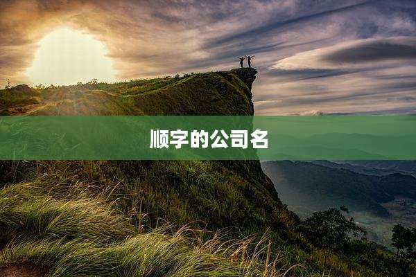 顺字的公司名
