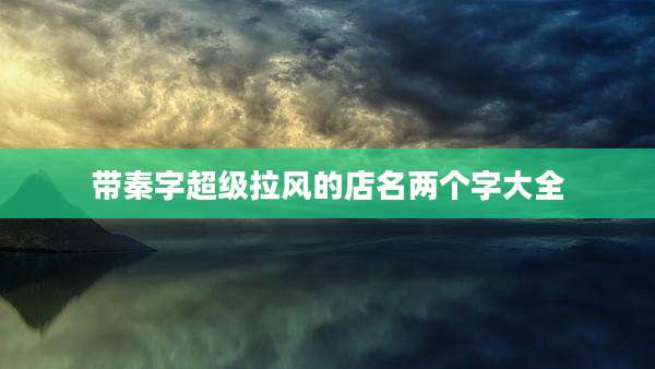 带秦字超级拉风的店名两个字大全