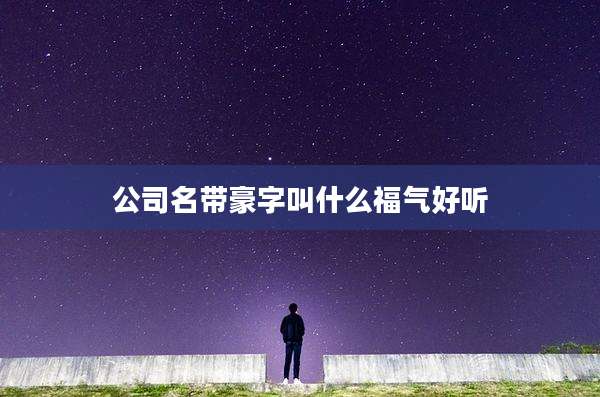 公司名带豪字叫什么福气好听