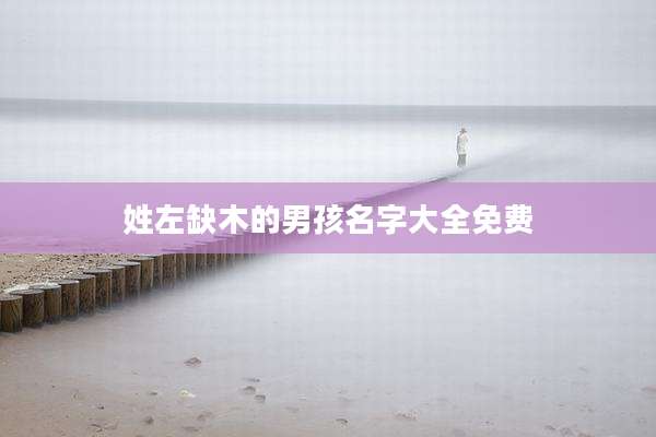 姓左缺木的男孩名字大全免费