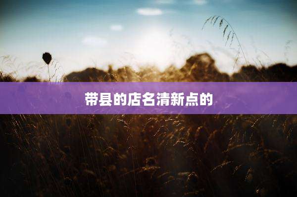 带县的店名清新点的